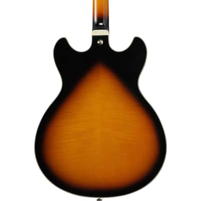 Ibanez Artstar Standard AS113-BS 6-String Semi Hollow Body Electric Guitar with Macassar Ebony Fretboard, Right-Handed, Brown Sunburst image 7