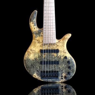 Elrick EVO Gold 6 String Buckeye 2024 - Natural image 1