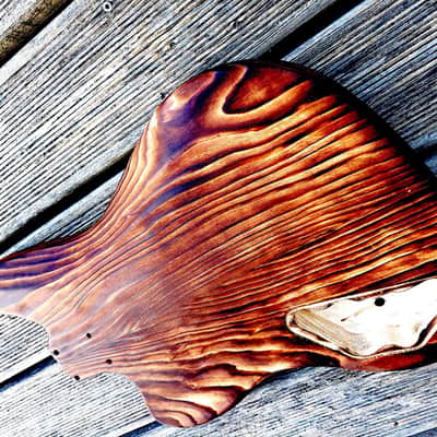 Telemaster body, "barncaster" image 9