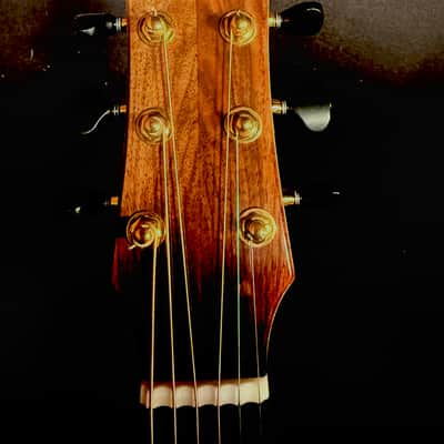 Taran DS5 2019 - Macassar Ebony/Mastergrade Swiss Moon Spruce image 6