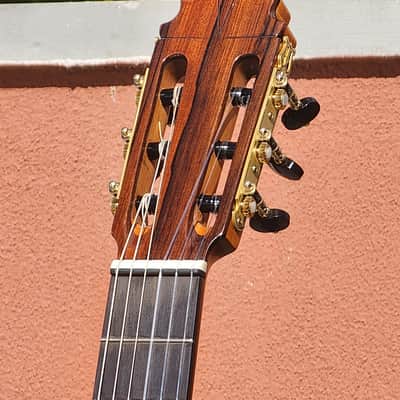 David Martinez Cabanillas Flamenco Guitar Cutaway Blanca with TWO Carlos Juan Amplification Systems!!! image 8