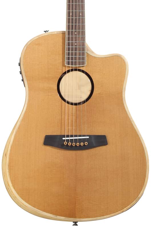 LR Baggs AEG-1 Acoustic-electric Guitar - Torrefied Spruce Top image 1