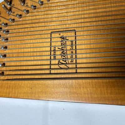 Vintage Appalachian Autoharp Oscar Schmidt 45C/R with case image 3