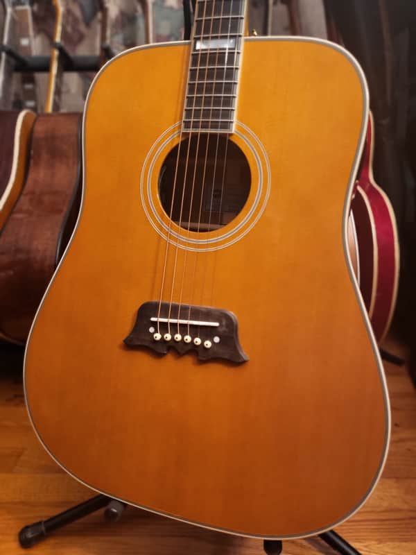 Epiphone   Excellente FT 120 Acoustic Electric Guitar image 1