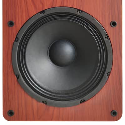 Singtronic 2500W Home Karaoke Vocal Speakers (Pair) image 3