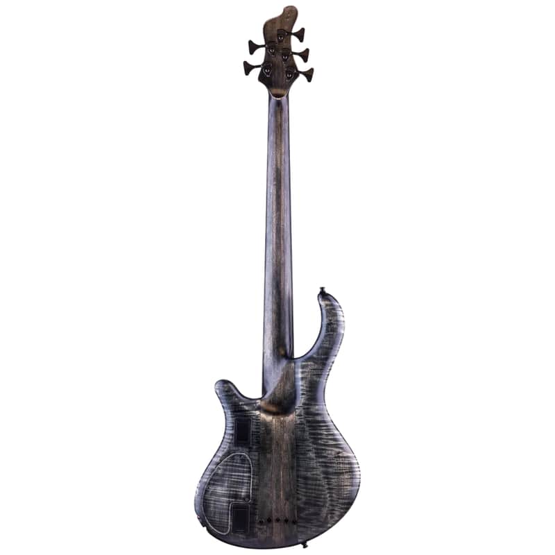 Mayones Maurizio Rolli Signature Patriot MR Fretless 5 image 2