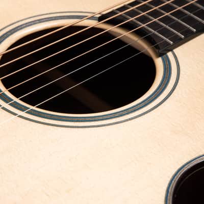 Santa Cruz Fingerstyle Custom - Moon Spruce & Cocobolo image 16