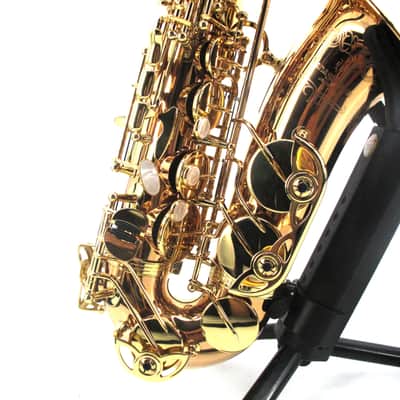 Yanagisawa A-WO20 Alto Saxophone - Bronze image 6
