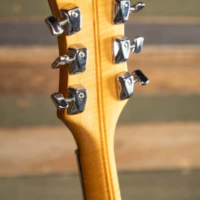 Eston Welson DS-2T Hollowbody - Sunburst image 9