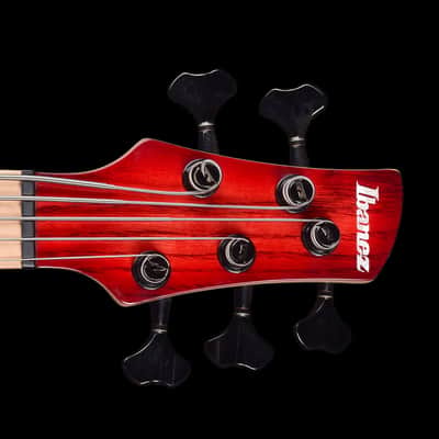 Ibanez ANB205 Adam Nitti Signature 2019 - Transparent Wine Red Burst image 7