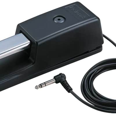 DP-10 Roland image 1