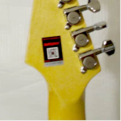 Bullfighter D133 - TL Series Electric Guitar - Lotus/Dark Green Color with Flower Graphic image 8
