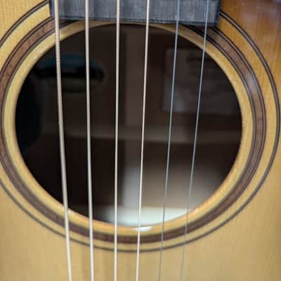 Breedlove Artists CE burnt amber acoustic electric guitar 2025 image 3