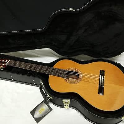 Aria A-30S classical acoustic Guitar - Nylon Strings - with Hard Case image 1
