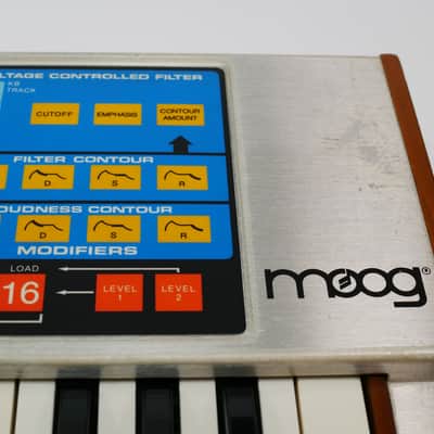 Immagine moog Source - 10