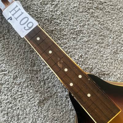 Sunburst 8 String Mandolin DIY Project, Spruce Top, Mahogany Body, Rosewood Fingerboard image 10
