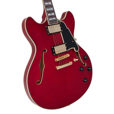 D'Angelico DAEDCTCHGS EXCEL DC Double Cutaway Semi-Hollow Body 6-String Electric Guitar w/Deluxe Hardshell Case image 2