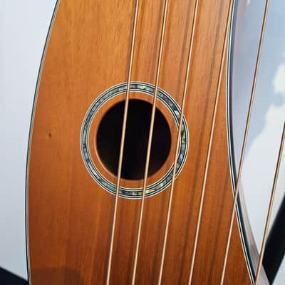 Timberline T20HGc All Solid Wood Tropical Mahogany 12-String Harp Guitar T20 HGC - Mahogany image 7