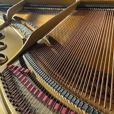 Steinway & Sons M 1927 - Mahogany Satin 256922 image 5
