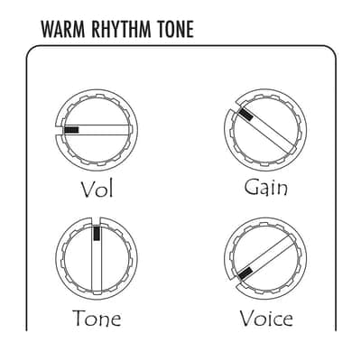 Warm Audio Warmdrive Legendary Amp-In-A-Box Overdrive Pedal Overdrive Pedal image 6