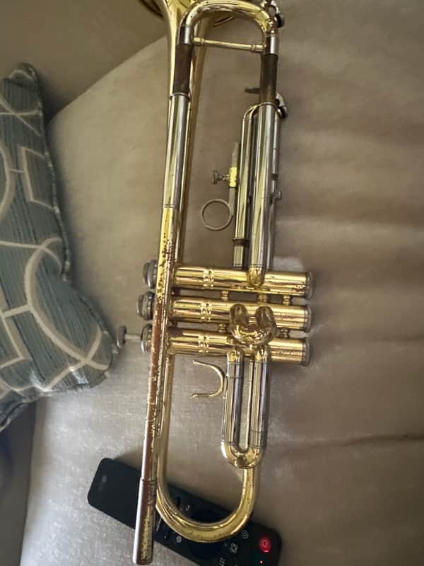 J.W. York & Sons ML 1916 image 1