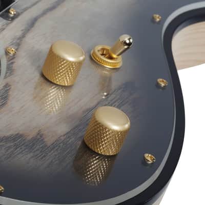 Schecter Meegs PT EX Charcoal Burst image 9