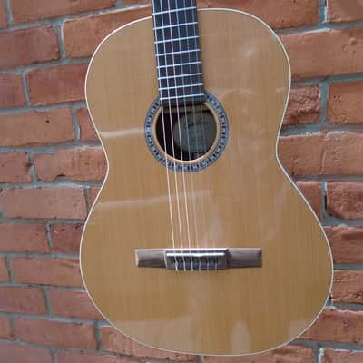 Godin Collection Nylon SF Guitar w/hard case image 1