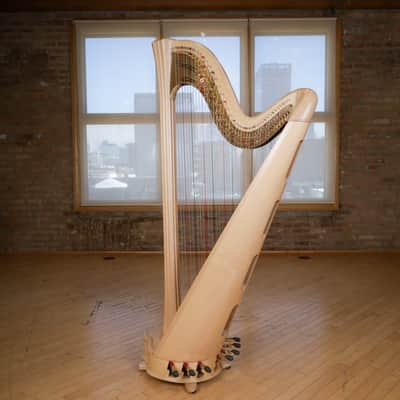 Salvi Daphne 40 Pedal Harp 2019 - Natural image 3