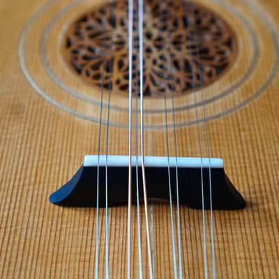 Renaissance Cittern image 24