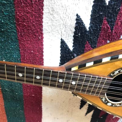 Fancy Bowlback Mandolin, Early 20th Century, Excellent Condition image 7