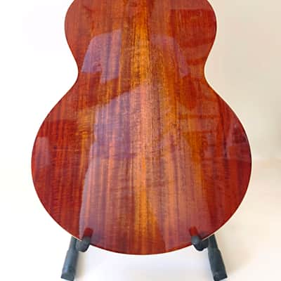 Eastman AC330E-12 - Natural image 2
