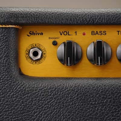 Bogner Shiva EL34 2x12" Guitar Combo Amplifier #54389 image 8