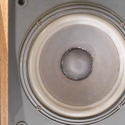 Bose 301 Series II, Lovingly Restored image 6