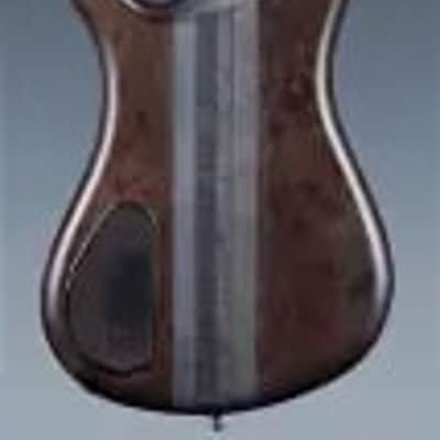 Warwick Pro Series Streamer Stage I 5 String Nirvana Black Transparent Satin image 5