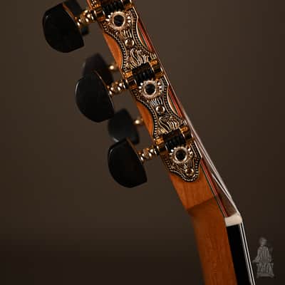 2023 Ricardo Vitullo image 12