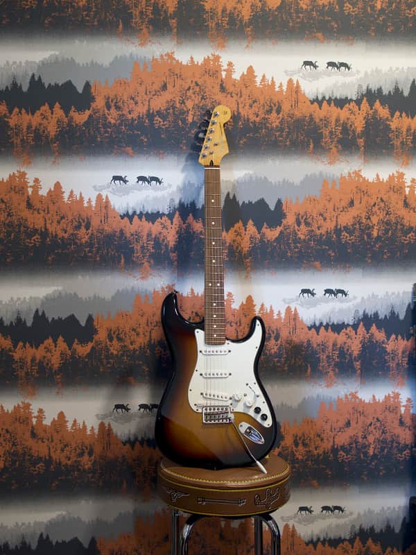 Fender G-5 VG Stratocaster image 1