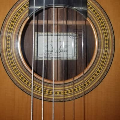 2006 Cordoba Custom Artist Cedar and Madagascar Rosewood Classical Guitar image 11
