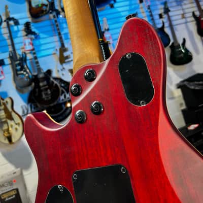 EVH Wolfgang Standard Exotic Zebrawood Electric Guitar - Natural Authorized Dealer! FREE PLEK! image 10