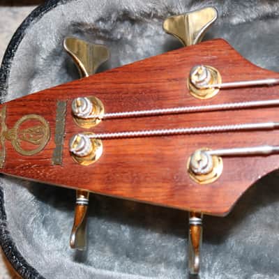Alembic Epic 4 String Bass image 6