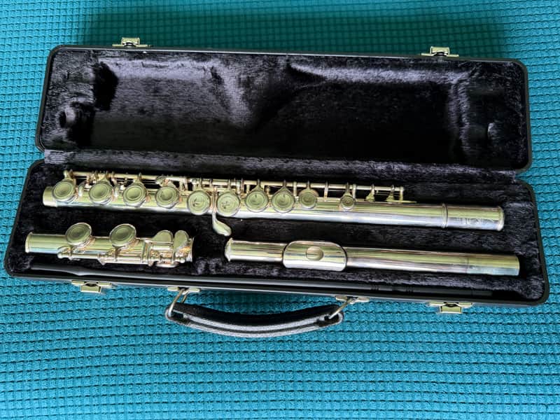 Amati Kraslice FL 202 2000s - Silver