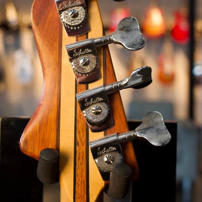 Elias Fretless Bass image 4