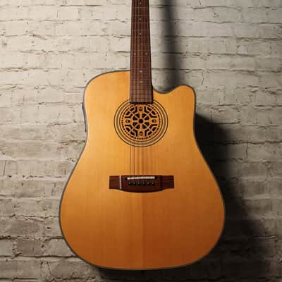 Samick Artist Series SW-218CE-FT Dreadnought Acoustic Electric Natural image 2