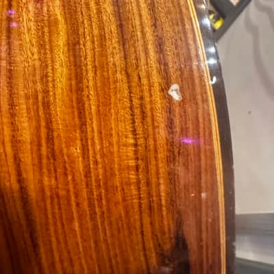 Vintage Giannini AWN71 Acoustic Guitar – Playable, Needs Restoration image 11