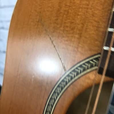 Seagull Coastline S12 Cedar 29358 12-String Acoustic Guitar image 3