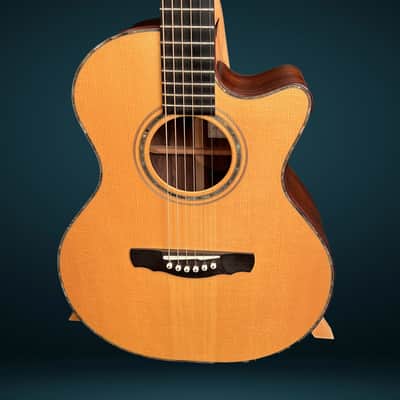 Kevin Ryan Guitars Mission Grand Concert 2002 image 2