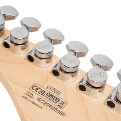 Cort G200SKB G Series 200 Double Cutaway Electric Guitar. Sky Blue image 17