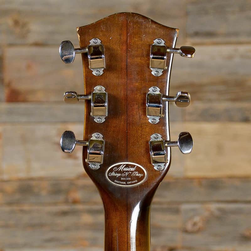 Gretsch Broadkaster Solidbody 1975 - 1979 image 7