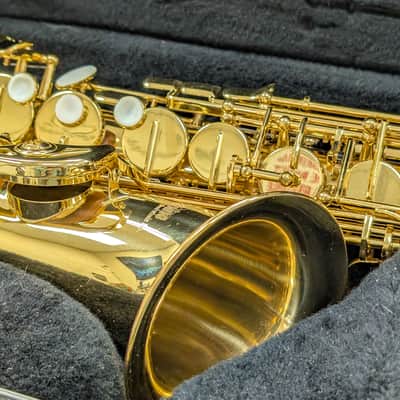 Alpine Woodwinds AAS143 2010's Alto Saxophone with Case - Gold image 3