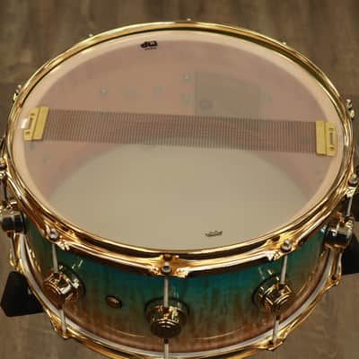 DW Collector's Exotic 6.5x14" w/ Gold Hardware (Natural To Candy Regal Fade Over Quilted Maple) image 11