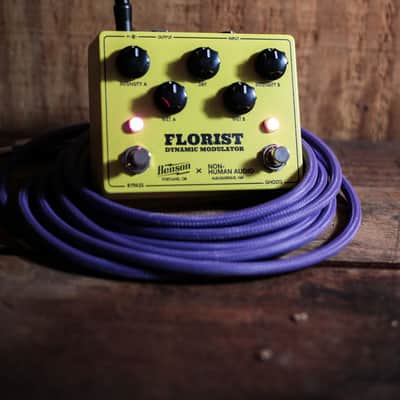 Benson Amps / Non-Human Audio Florist Dynamic Modulator image 6